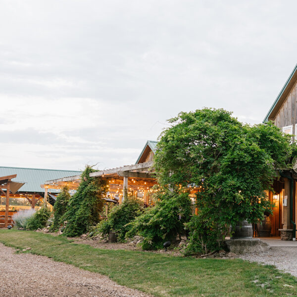 Outdoor Concert featuring Tim Poole and Friends