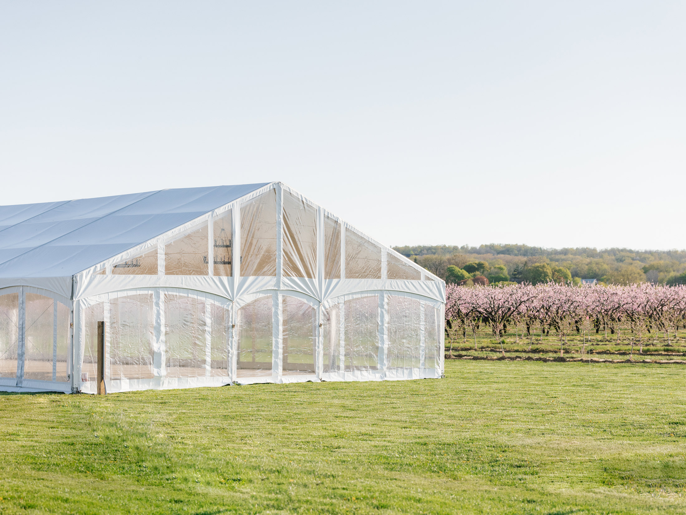 GoodEarth-Header