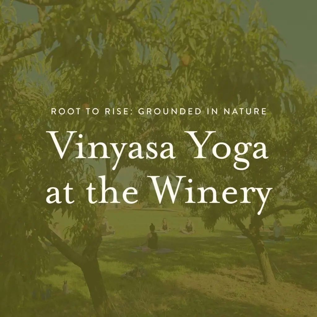 A background photo of women in a seated yoga pose, overlayed by in green. With text reading "Root to Rise: Grounded in Nature, Vinyasa Yoga at the Winery"